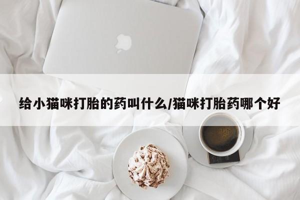 打胎药微信联系方式，给小猫咪打胎的药叫什么/猫咪打胎药哪个好