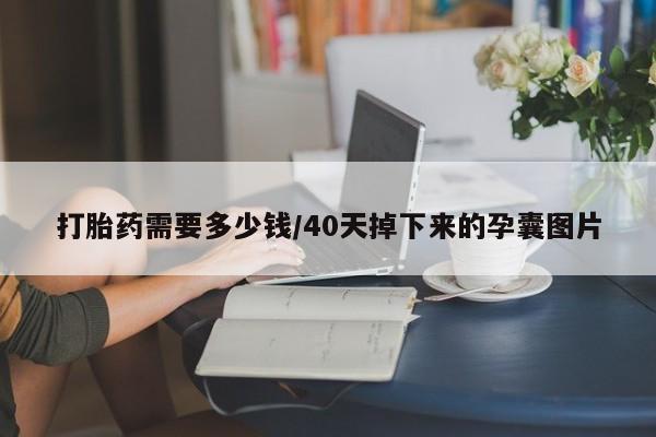 打胎药微信联系方式，打胎药需要多少钱/40天掉下来的孕囊图片